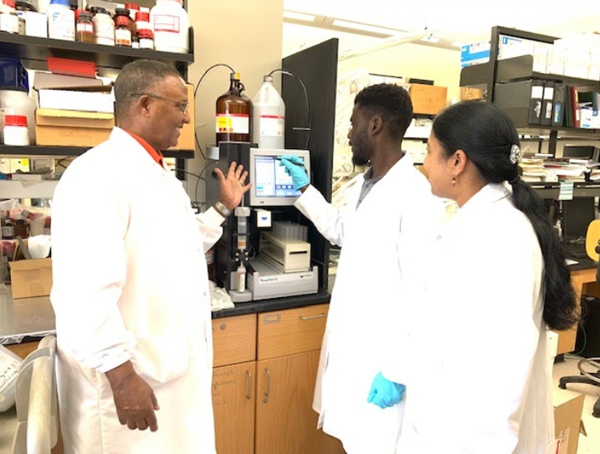 CaRE2 Summer Undergraduate Trainees working in the lab with Dr. Redda at FAMU